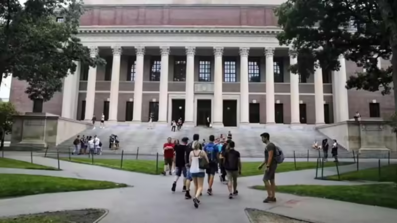 MAGA politician writes to White House for ending OPT, says it avoids H-1B restrictions: 'Allows aliens to overstay...'