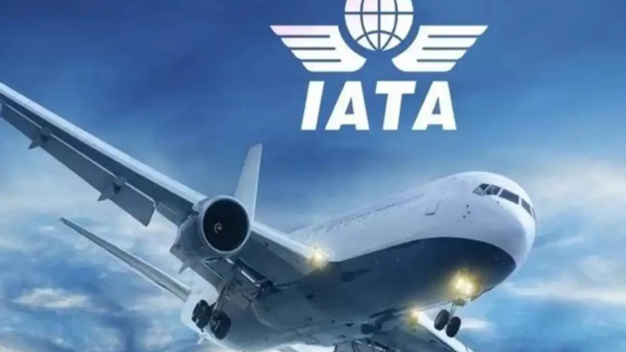 Shocking stat: Airlines to earn just $7.90 per passenger next year — less than what Apple makes on an iPhone cover, says IATA chief
