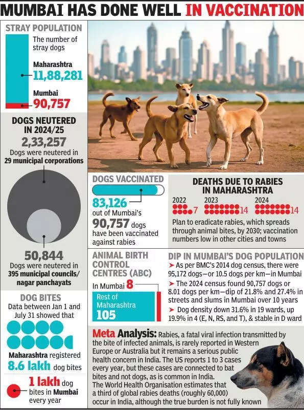 Maharashtra has 12L stray dogs, Mumbai 90k, DCM Shinde tells house