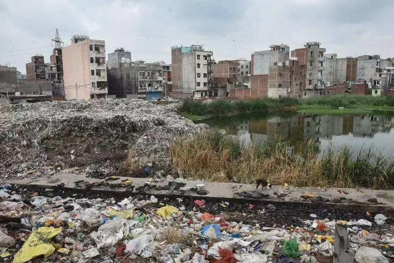 Agencies pass the buck after wetland vanishes