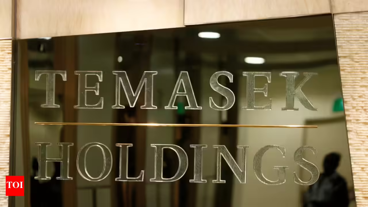 Temasek looks to expand India footprint