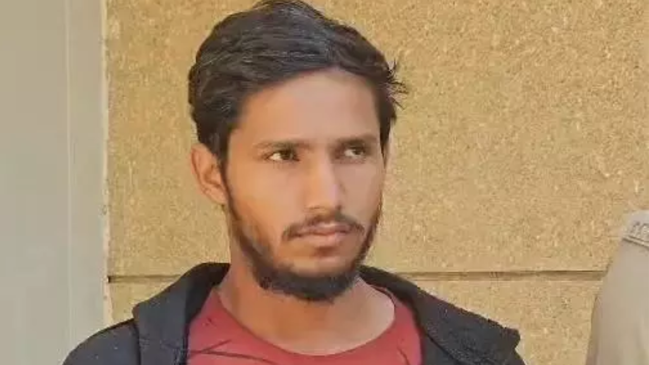 Gujarat teen chops friend into pieces over affairs