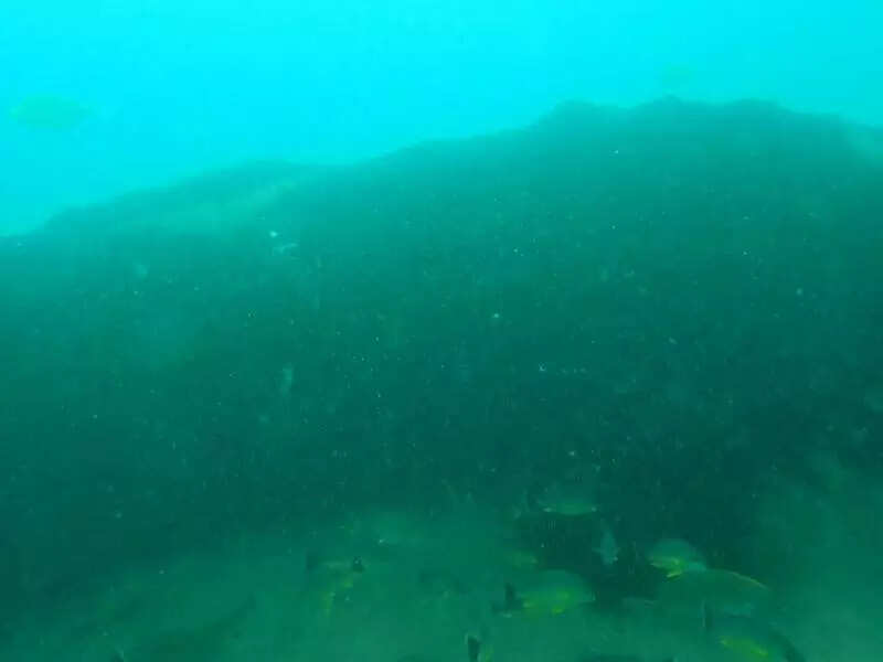 Geotube project back on track at Poonthura