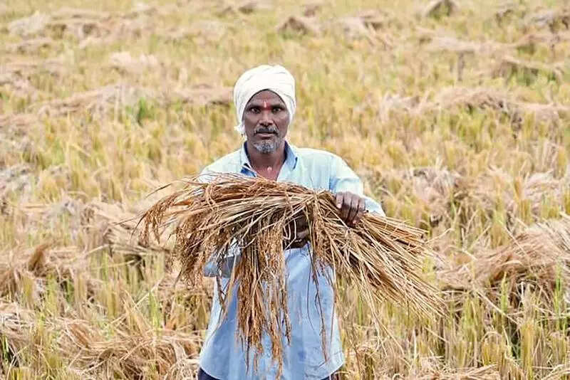 7.9 lakh farmers received crop damage compensation: Govt