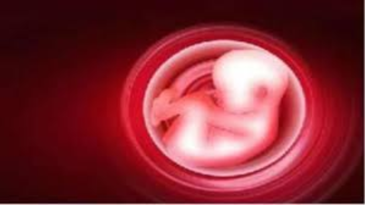 UK report says Indian-origin parents may be aborting female foetuses