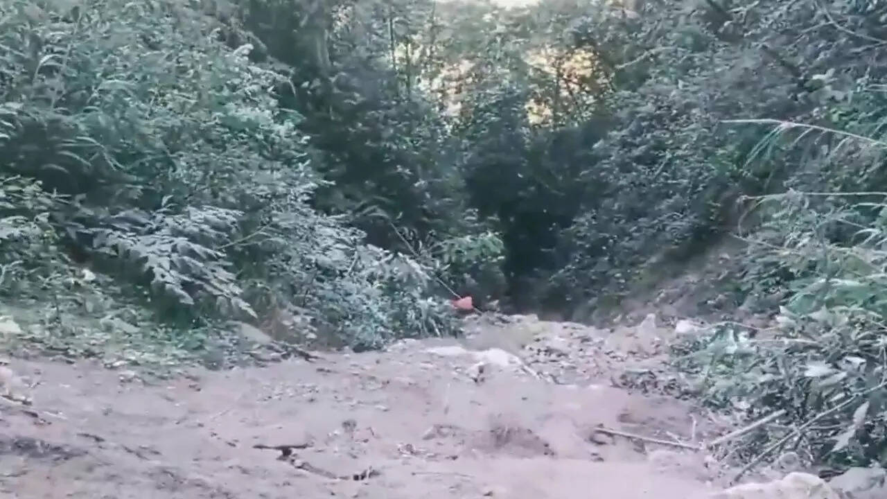 Truck falls into gorge: 22 feared dead; authorities alerted when survivor emerges after 72hrs