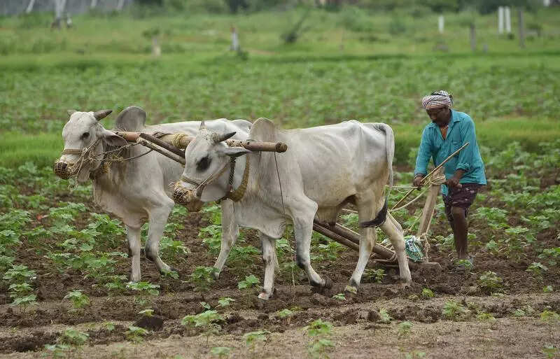 msid 125918402,imgsize 68998 https://jaipur.visitinrajasthan.com/wp-content/uploads/2023/10/cropped-cropped-R-2.png