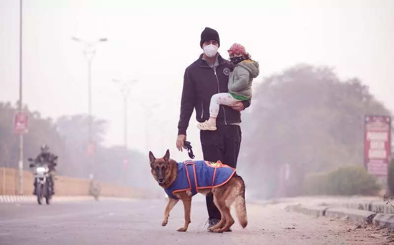 Delhi AQI back to very poor after wind speed dips