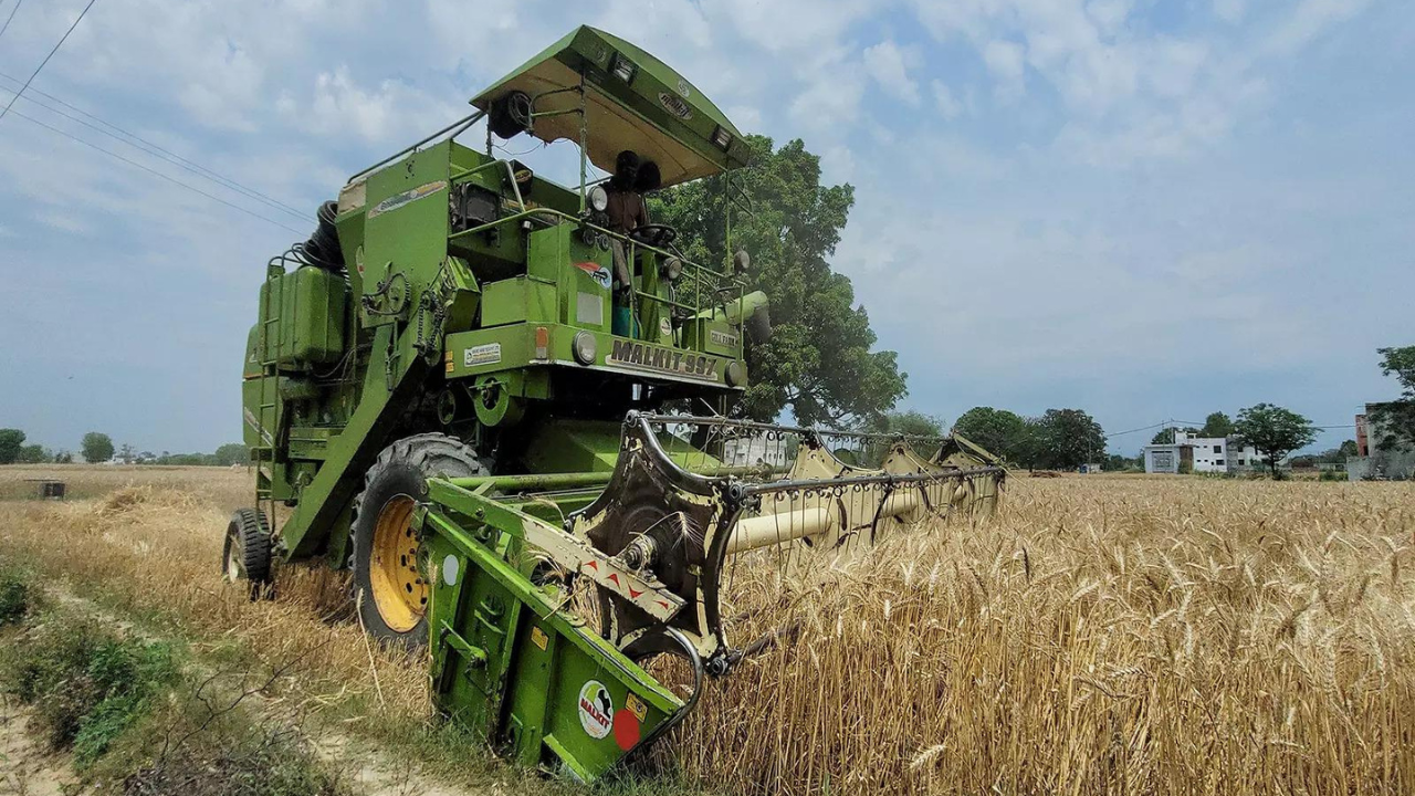 Rural demand sees revival as incomes rise: Nabard survey