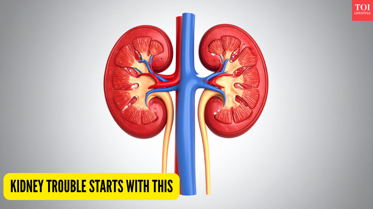 Early signs of kidney trouble: 5 hidden signs to watch for before it’s too late
