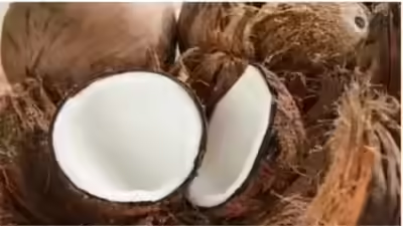 Copra price boost: Govt hikes Copra MSP for 2026 season; farmers to get up to Rs 12,500 per quintal