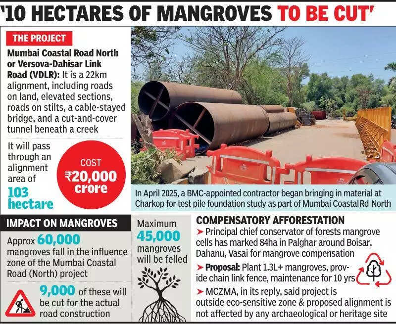 Bombay high court approves BMC plea for Versova-Bhayander coastal road project impacting 45k mangroves, seeks yearly updates on compensatory afforestation