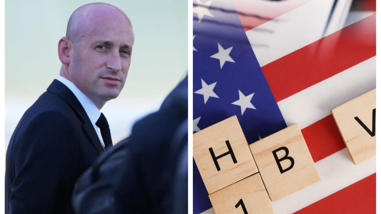 'Bodyshops come and meet the CEOs, then fire...': Stephen Miller blasts H-1B as 20 states sue Trump over $100k fee