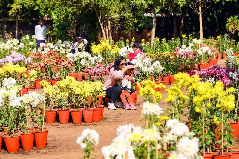 msid 125953038,imgsize 114354 https://jaipur.visitinrajasthan.com/wp-content/uploads/2023/10/cropped-cropped-R-2.png