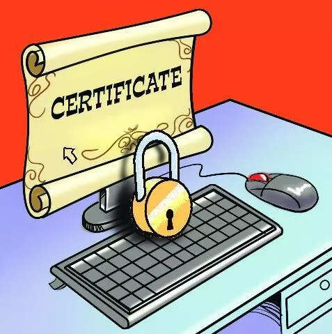 Despite sister having valid ST certificate, woman denied one by caste certificate scrutiny committee in Gujarat