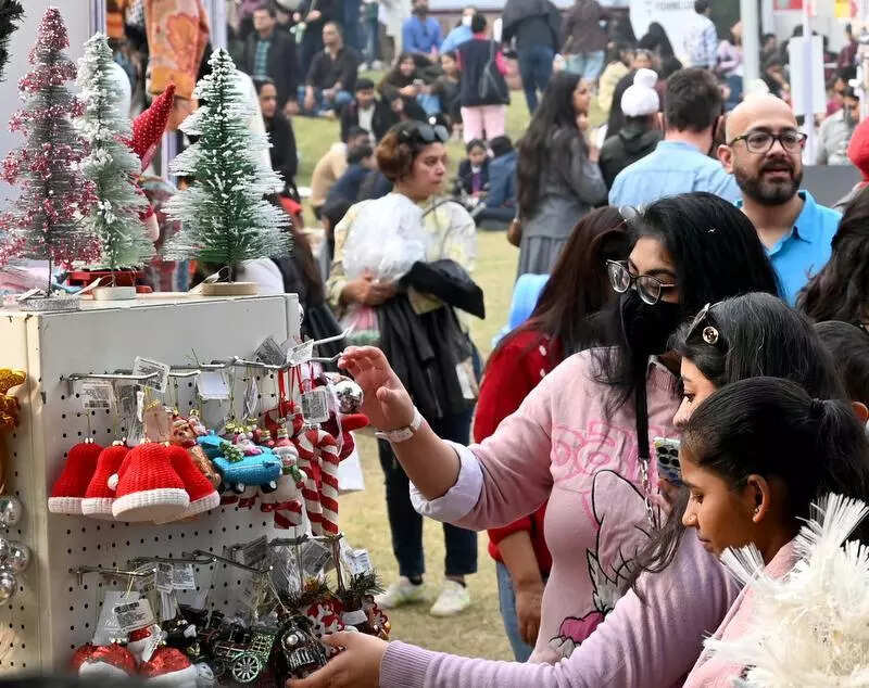 Mulled wine, waffles and winter: Delhi gets German Christmas treat