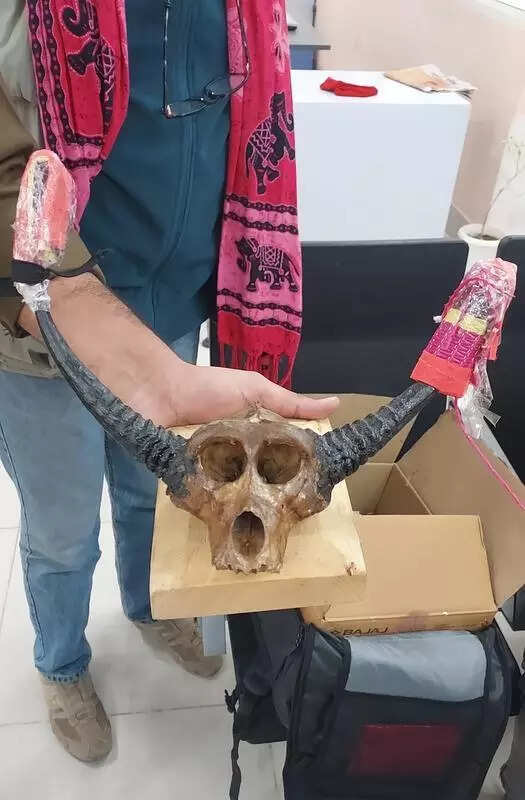 msid 125953779,imgsize 38746 https://jaipur.visitinrajasthan.com/wp-content/uploads/2023/10/cropped-cropped-R-2.png