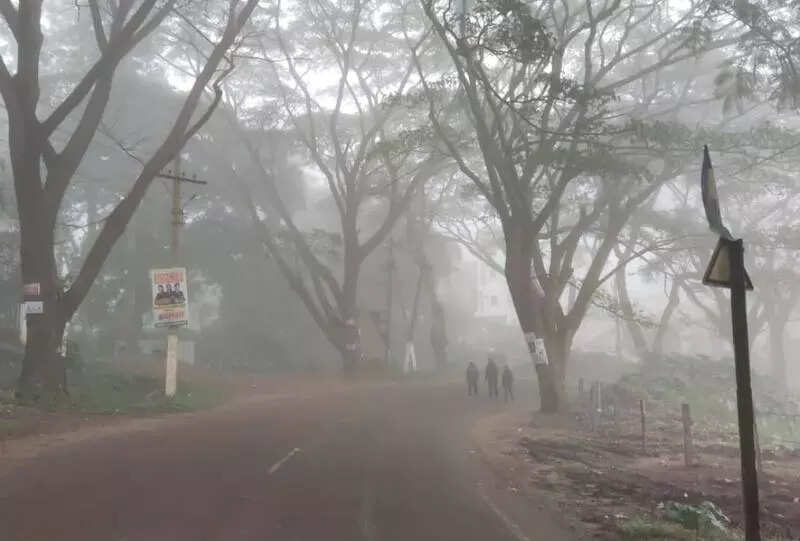 Mercury rises by a degree after season’s lowest drop to 17.5 degree celsius