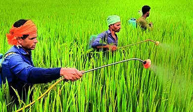 Bokaro administration steps up preparations for paddy procurement