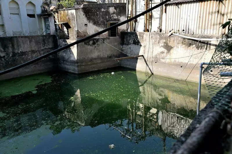 165-year-old Nampally stepwell battles pollution once again