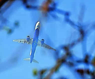 Senior expat official in IndiGo management may face action