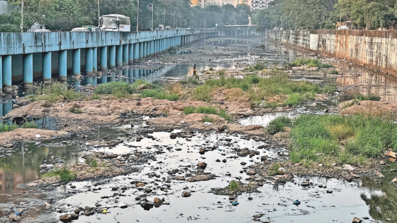 Battle for Mumbai civic body: Mangrove loss, polluted river dominate municipal poll talk in Dahisar and Borivli