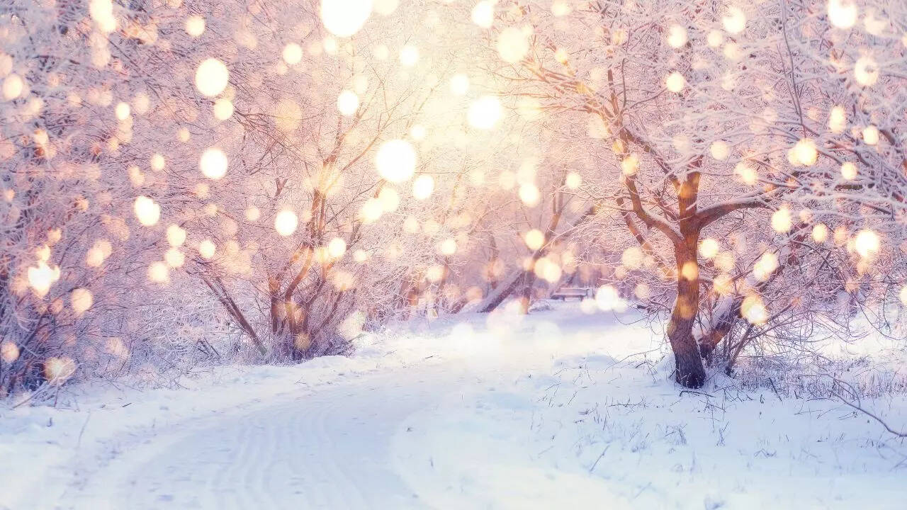 Winter Solstice 2025: Understanding the meaning behind the ‘shortest day of the year’; know the date, time and everything you need to know