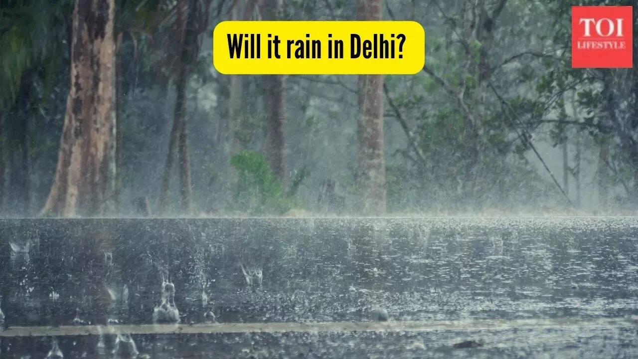 Weather update: Will it rain in Delhi? Check IMD predictions