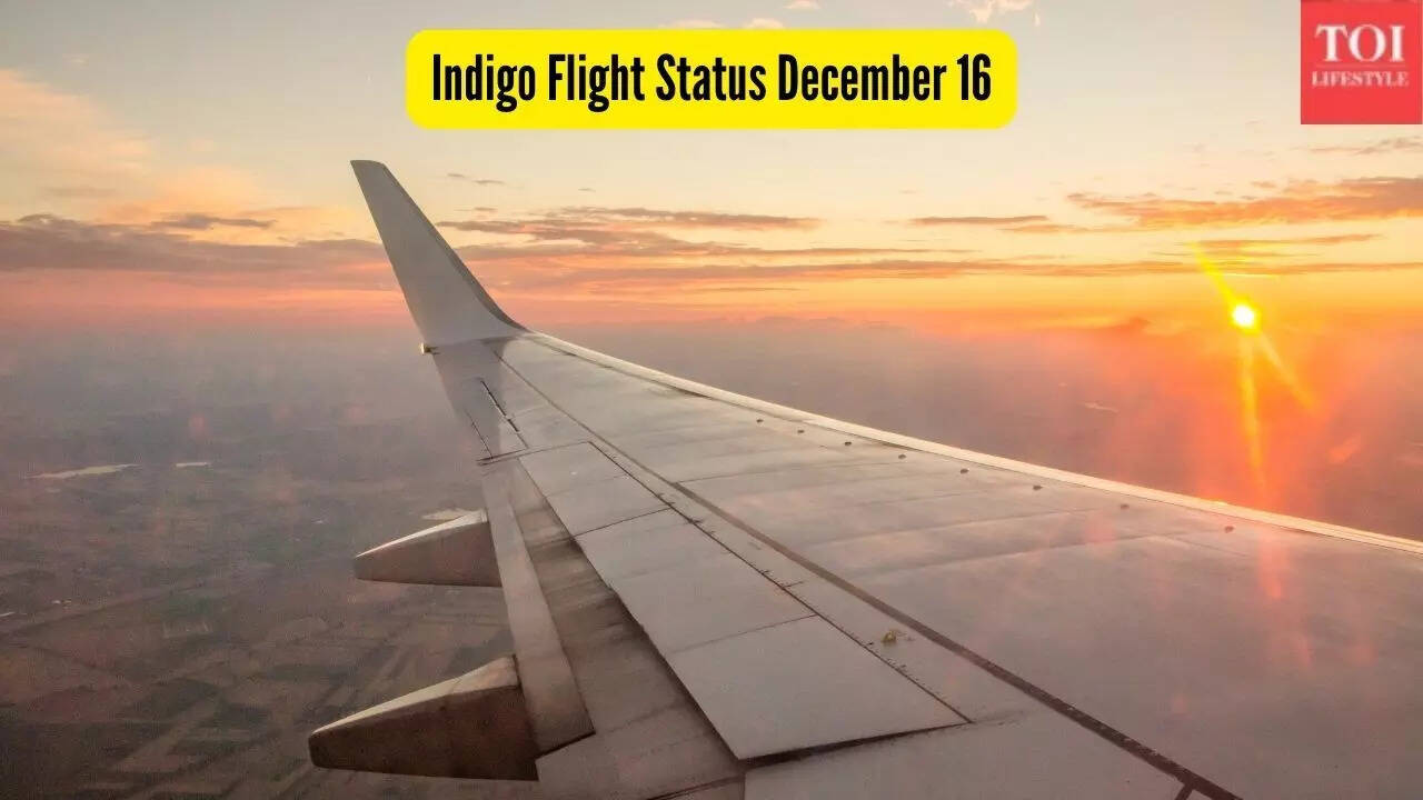 Indigo Flight Status December 16: Several flights cancelled amid dense fog; airlines issues early morning travel advisory