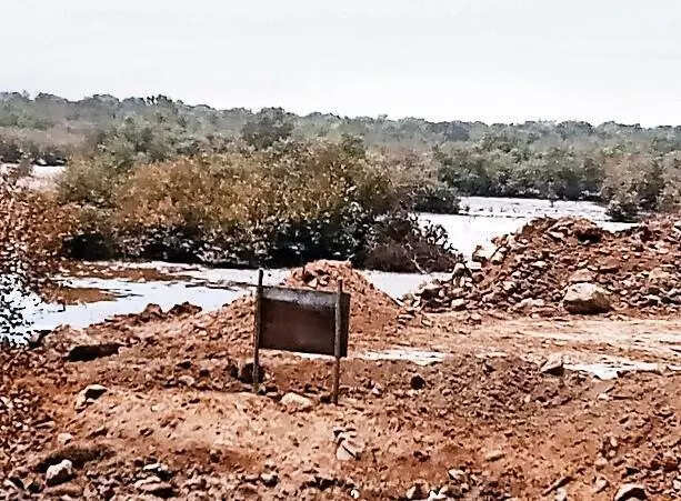 ‘Debris dumping destroyed 160 acres of mangroves in Raigad, Thane &amp; Palghar’