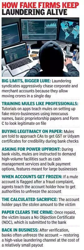 Hacked 2.0: Inside gamified mule account networks