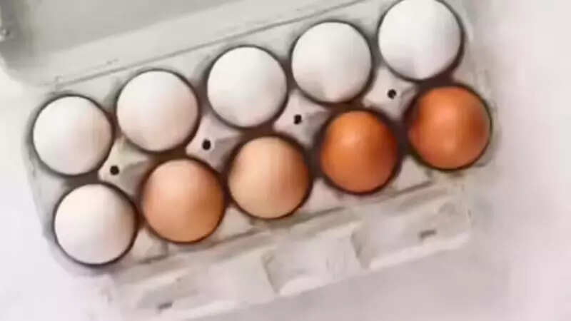 FSSAI tests eggs after nitrofuran allegations