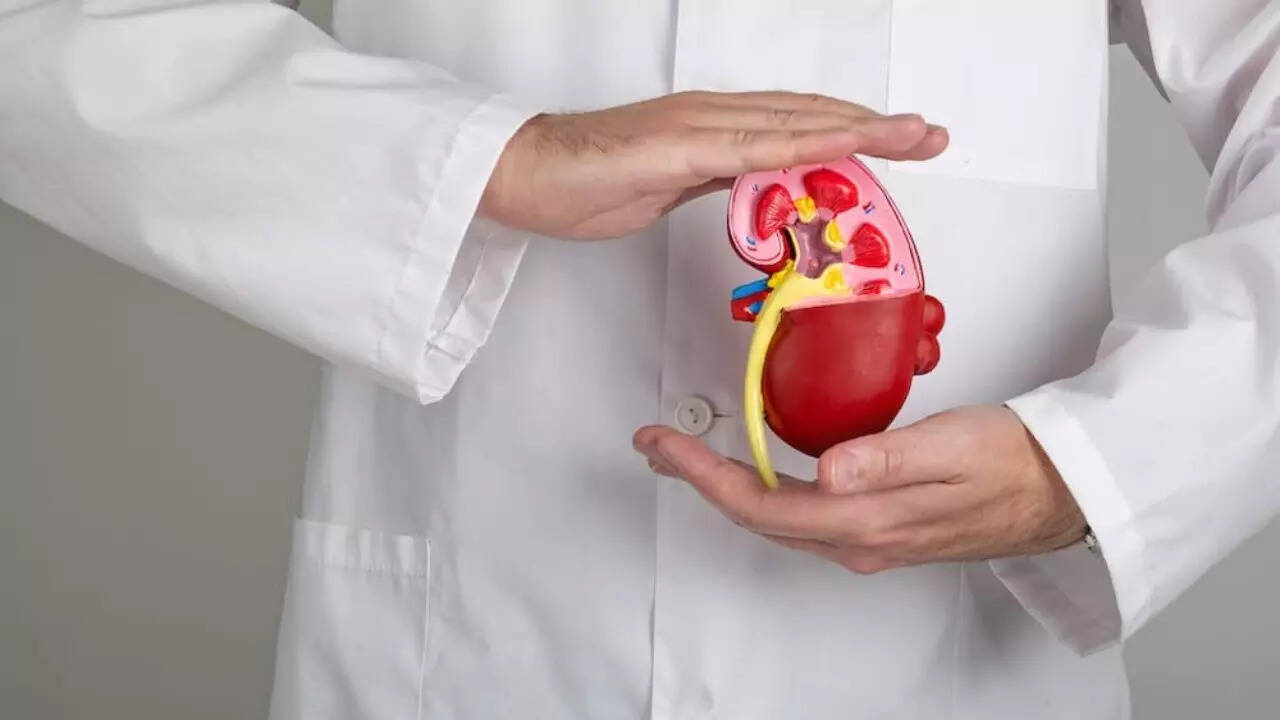 Kidney (4)