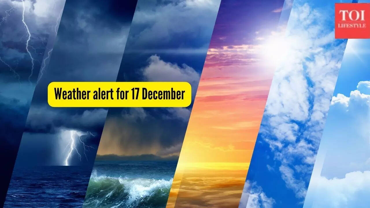 Weather alert for 17 December: IMD issues dense fog, cold wave and snowfall warnings across India