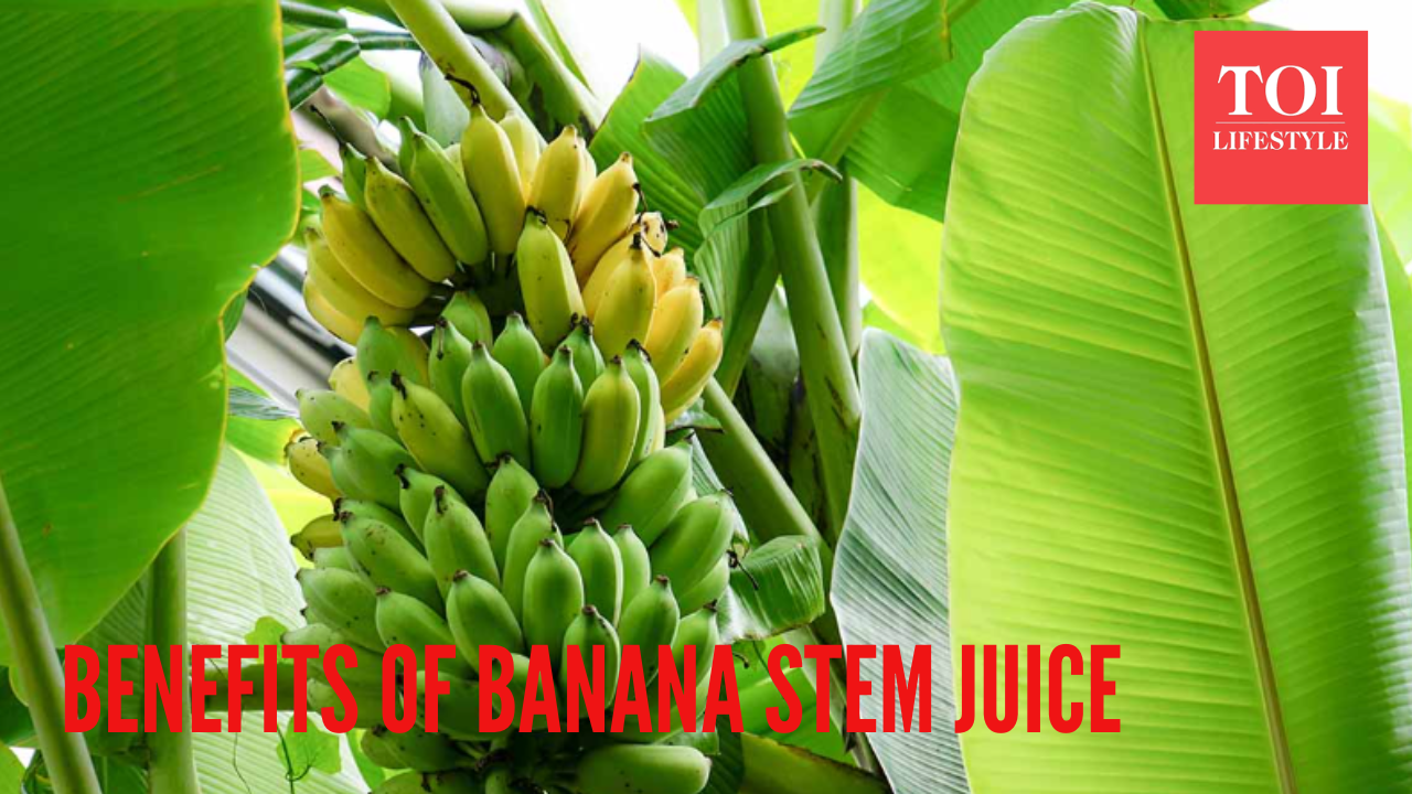 From detoxification to blood sugar control: 5 health benefits of banana stem juice