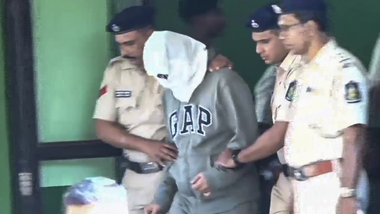 Nightclub fire: North Goa court orders fresh medical check of Luthra brothers; one sibling reported chest pain earlier