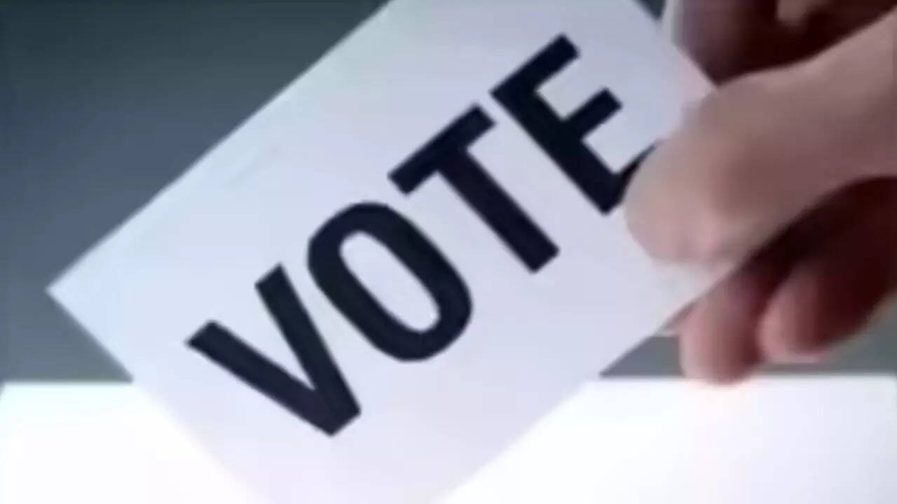 Uttar Pradesh SEC publishes revised provisional voter list for upcoming panchayat elections