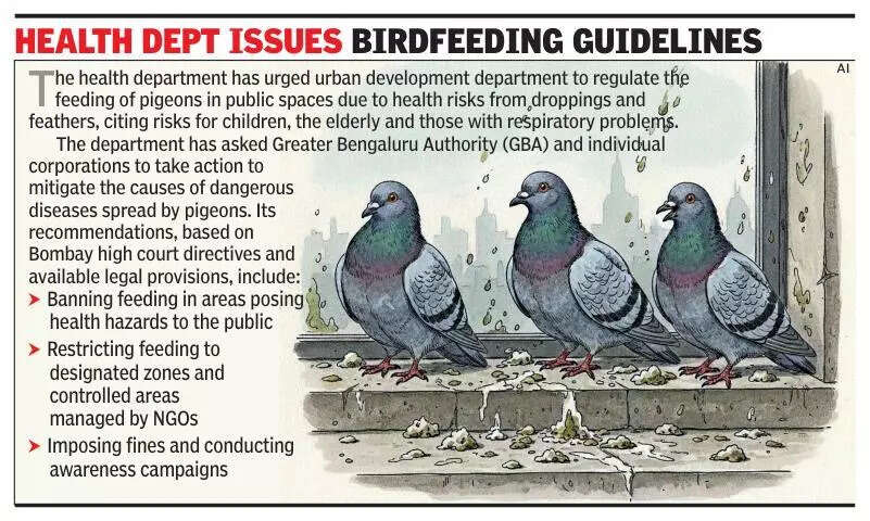 Pigeon peril in Bengaluru: DK Shivakumar denies health risk, doctors flag cases in city