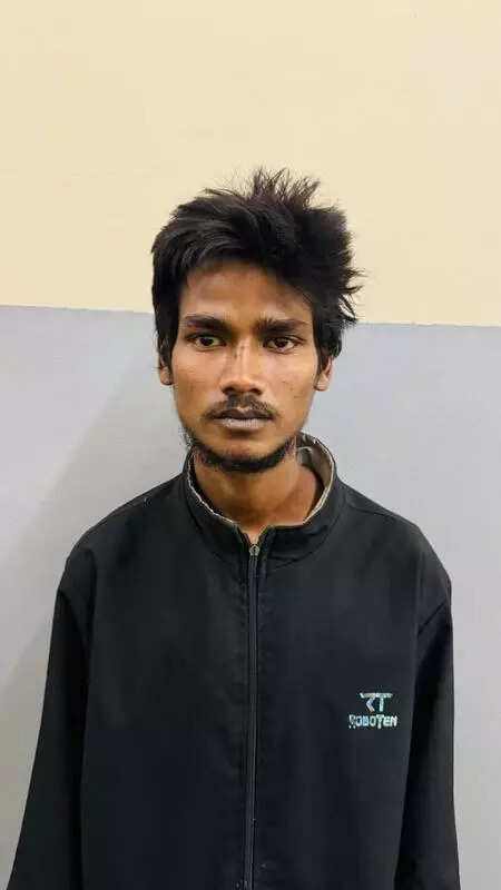 Man who stole water sump cover from Ricky Kej’s house in Bengaluru held