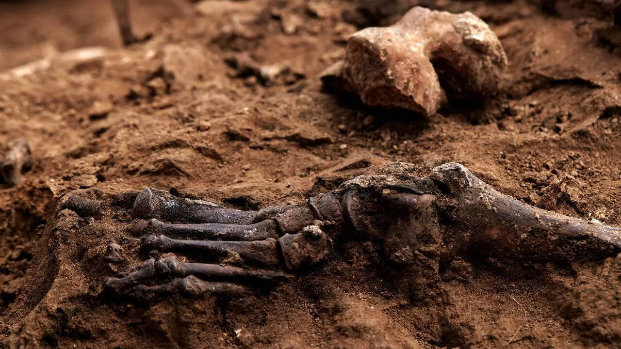 Oldest known evidence of parent-child incest found in 3,700-year-old bones in Italy