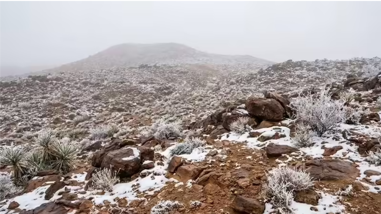 Rare snowfall turns Saudi Arabia’s desert mountains winter white — watch videos