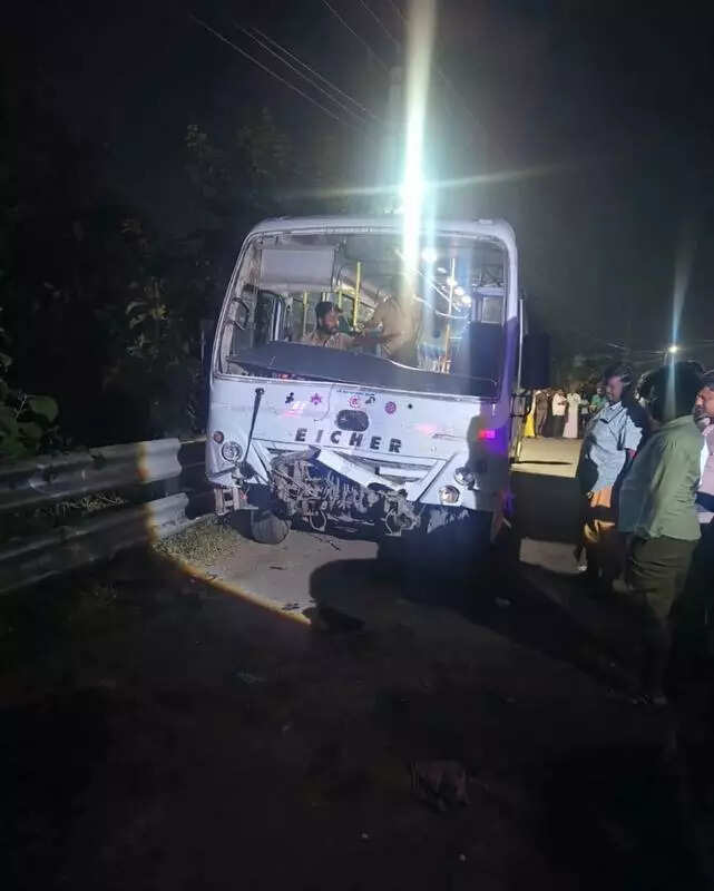 2 killed, 3 injured in multiple collision involving stray cattle