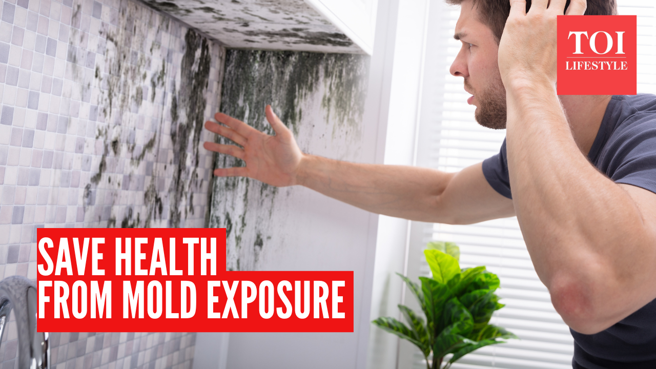 Mold exposure at home: How to protect your health until you get a long-term fix