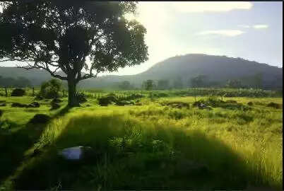 TN rolls out three new hotspots for camping, glamping