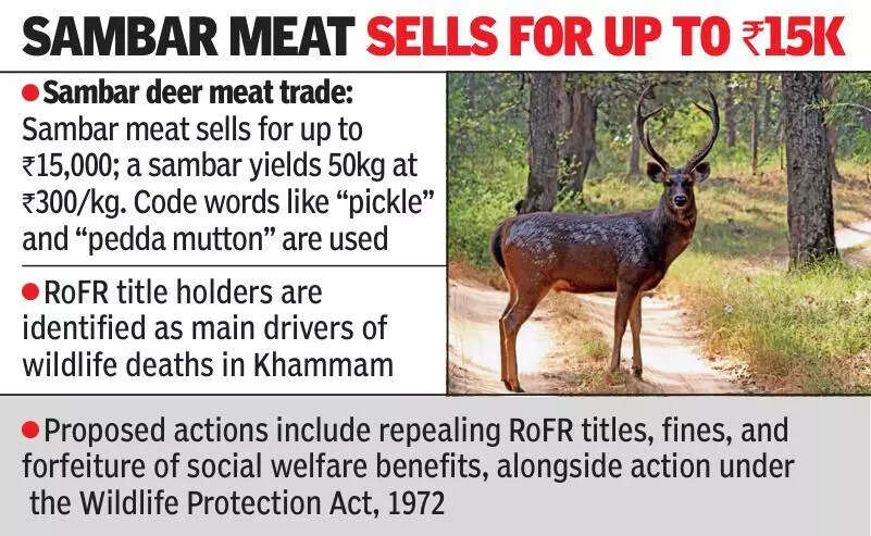 Electrocution emerges key poaching method in reserve forests