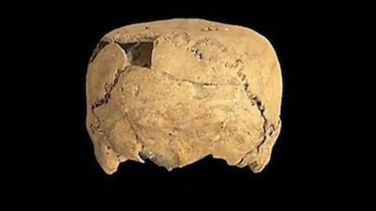 'For the first time': Cube-shaped skull found in Mexico reveals shocking ancient cultural practice