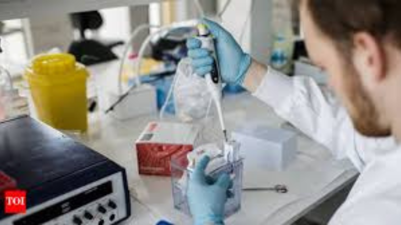 IIT, Australian university develop nanotech drug delivery for breast cancer