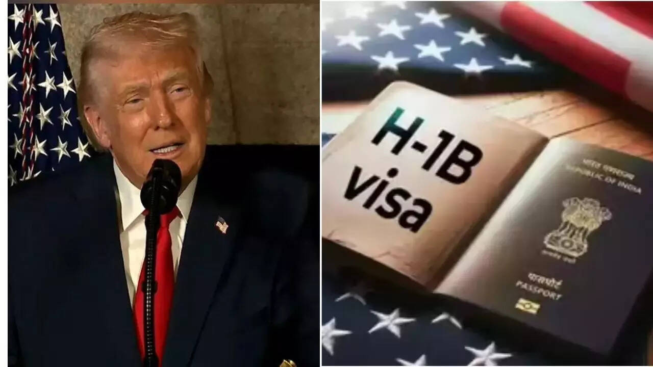 'Policy decision': US judge refuses to scrap Trump’s $100,000 H-1B visa fee