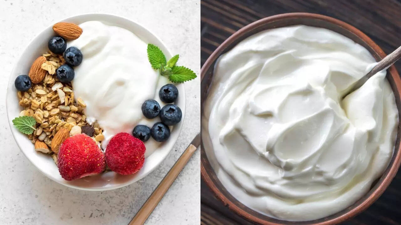 Understanding key difference between Greek yogurt and Indian dahi