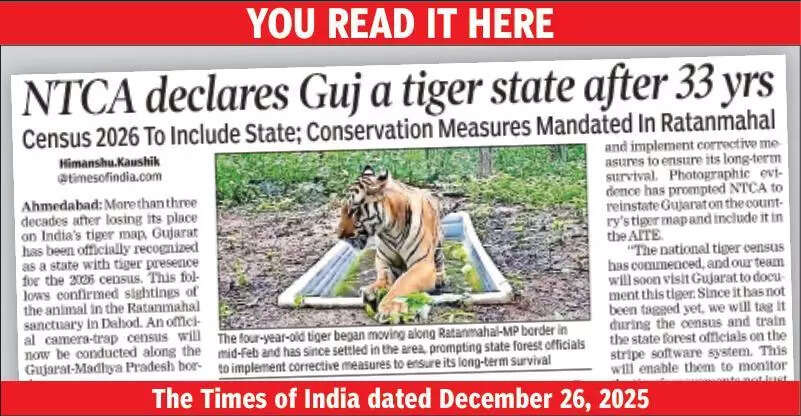 Gujarat now home to tiger, lion, leopard